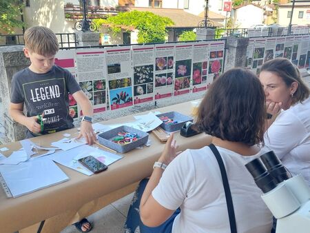 Delavnica Prirodoslovnega muzeja Reka (2)